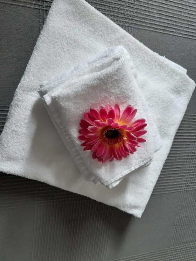 Magnolia Hotell Valmontone Eksteriør bilde